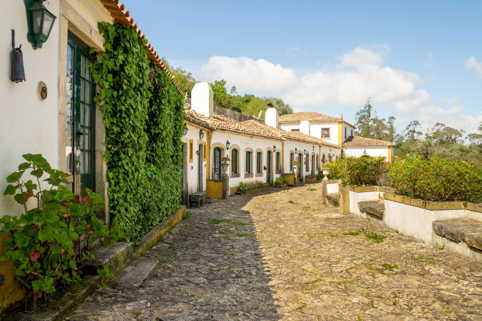 فيلا Quinta Do Brejo - Turismo Equestre مالفيرا المظهر الخارجي الصورة